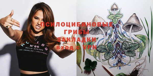 спайс Верея