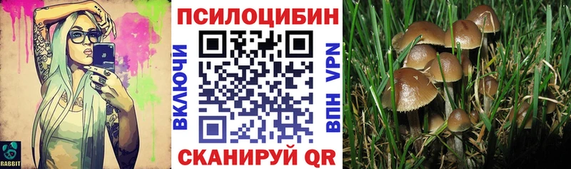 Галлюциногенные грибы мицелий  Данков 